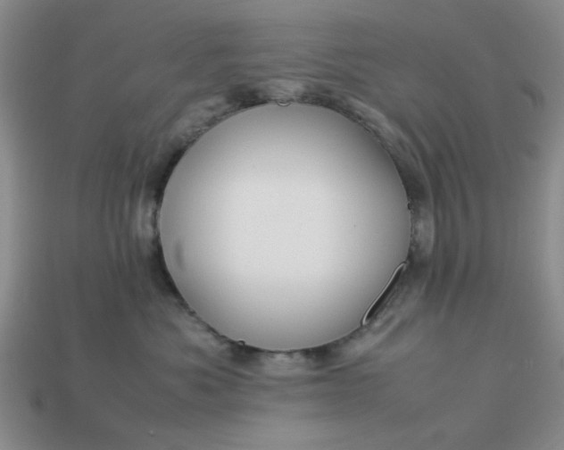 X0000113010525200909101820