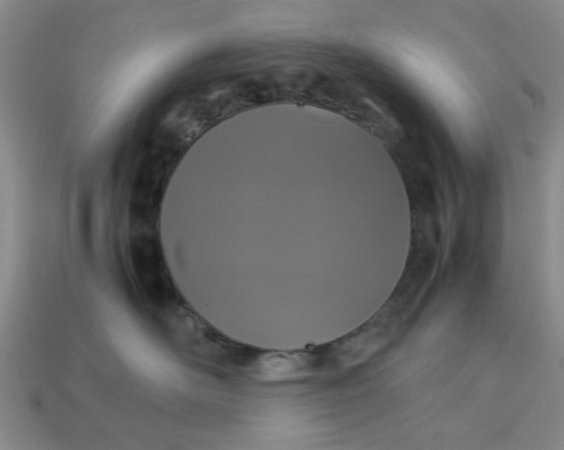 X0000113010526200909101820