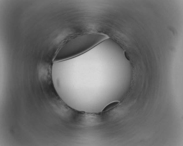 X0000113010528200909101820