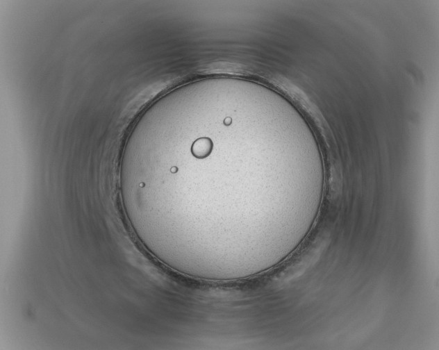 X0000113010529200909101819