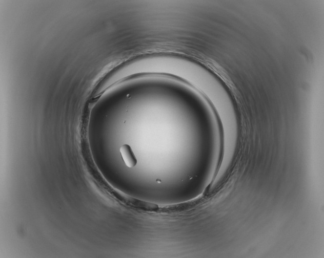 X0000113010530200909101819