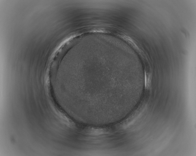 X0000113010531200909101819