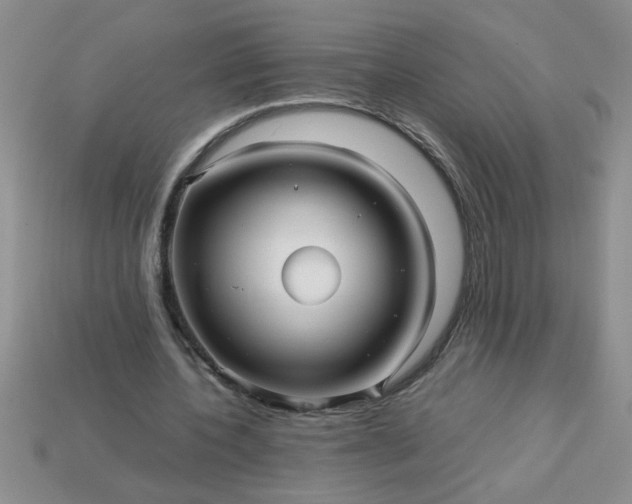 X0000113010532200909101819