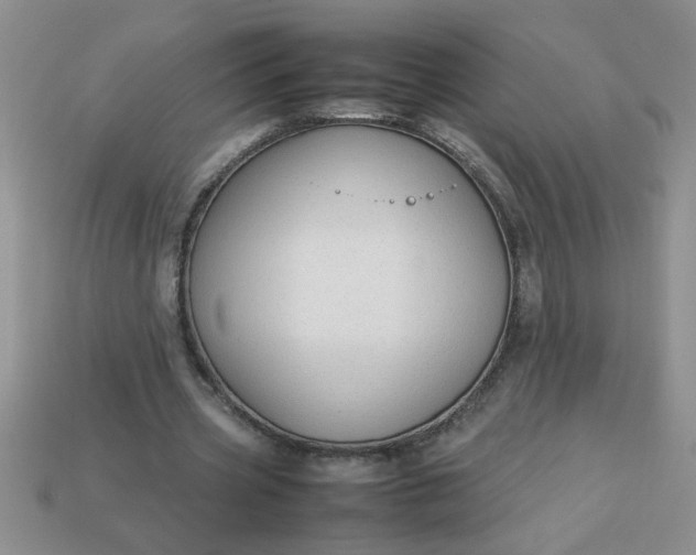 X0000113010533200909101819