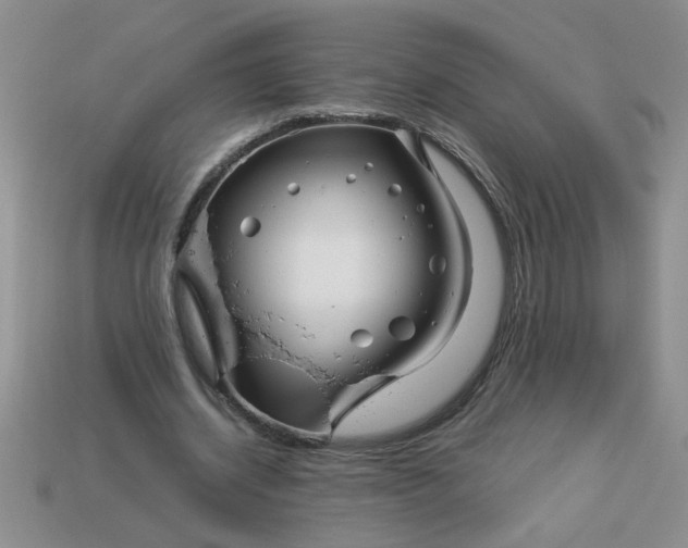 X0000113010534200909101819