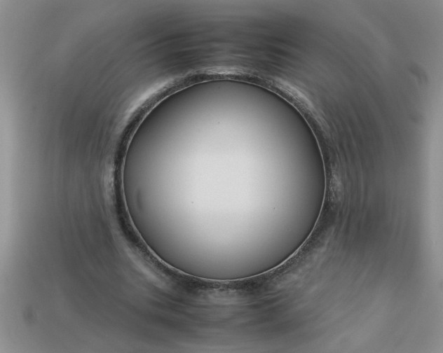 X0000113010535200909101819