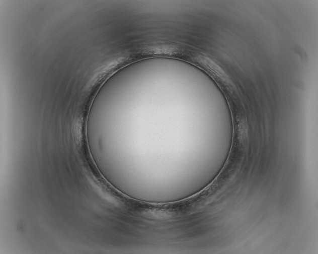 X0000113010537200909101819