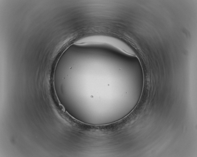 X0000113010538200909101819