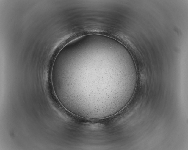 X0000113010539200909101819