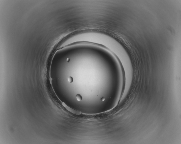 X0000113010540200909101819