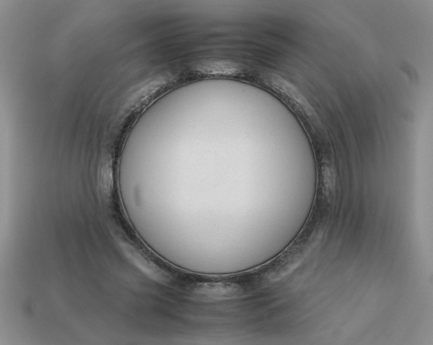 X0000113010541200909101819