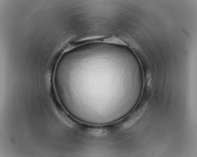 X0000113010542200909101819