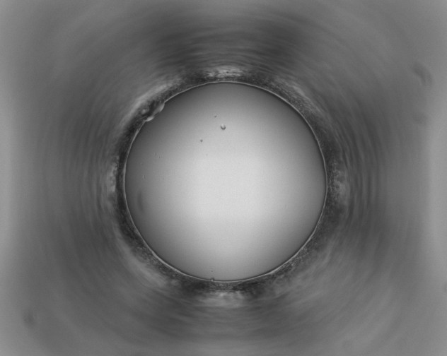 X0000113010543200909101819