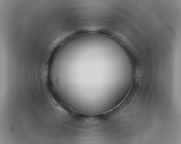 X0000113010544200909101819