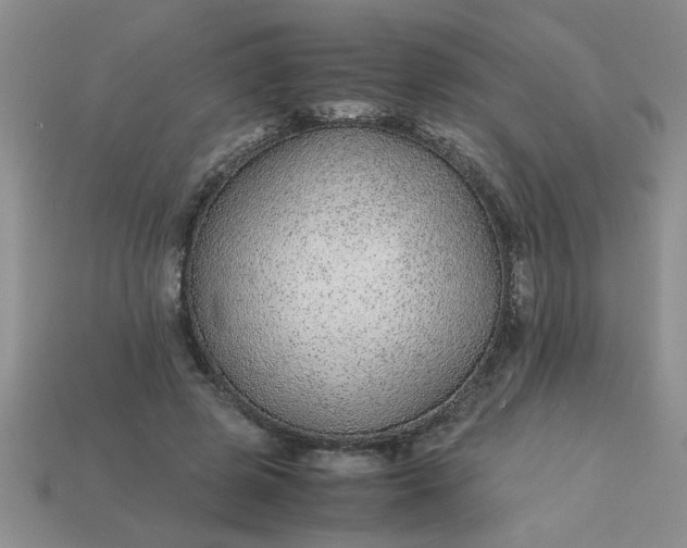 X0000113010545200909101819