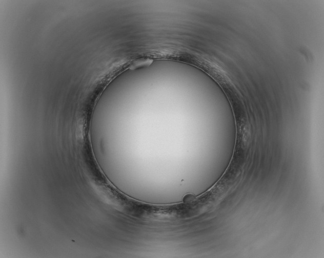 X0000113010546200909101819