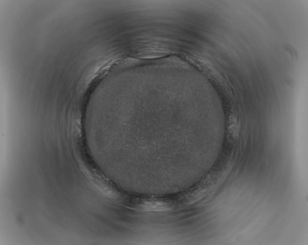 X0000113010547200909101819