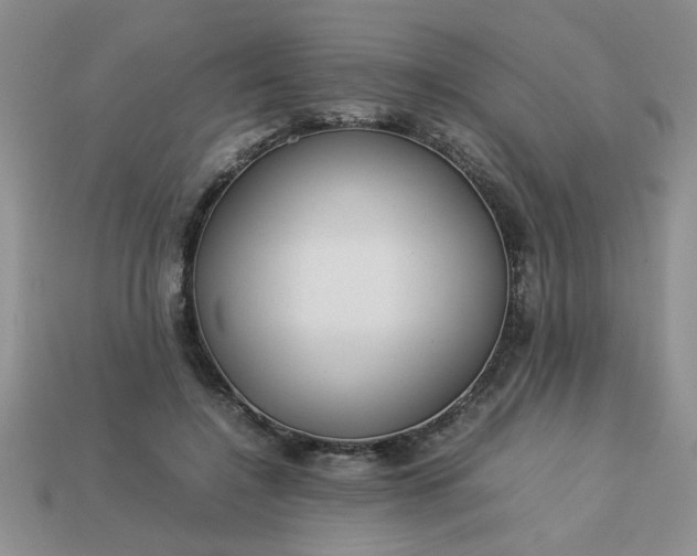 X0000113010548200909101819