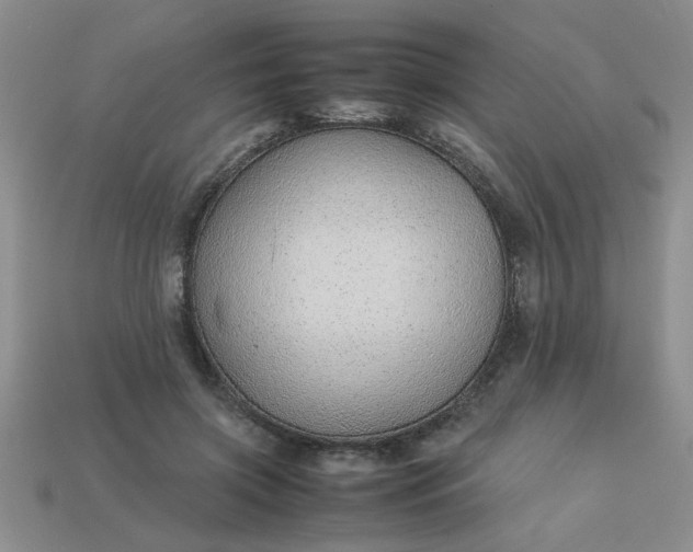 X0000113010549200909101819