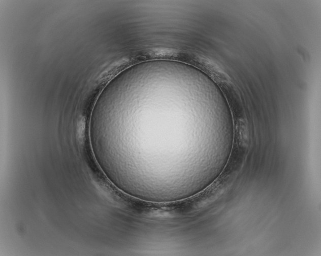 X0000113010550200909101819