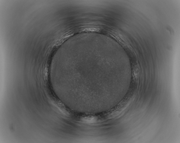 X0000113010551200909101819