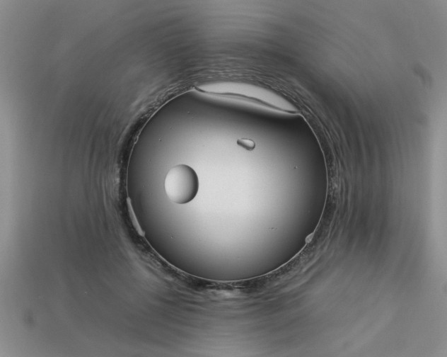 X0000113010552200909101819