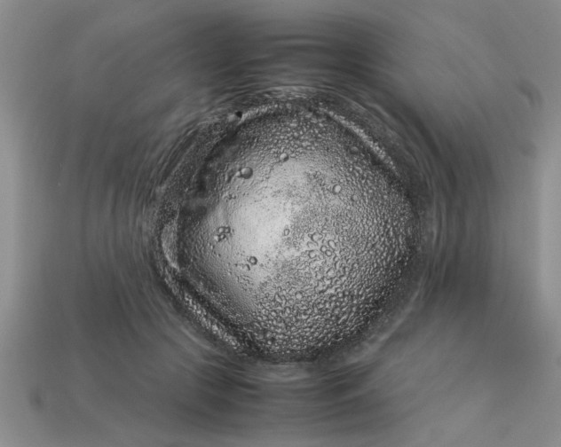 X0000113010553200909101819