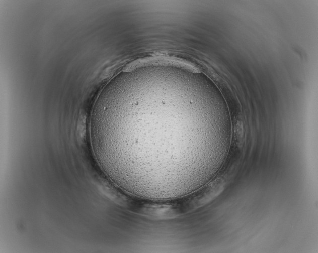 X0000113010554200909101819