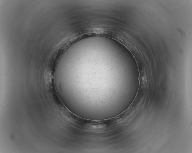 X0000113010555200909101819