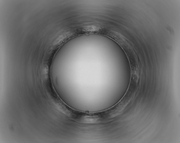 X0000113010556200909101819