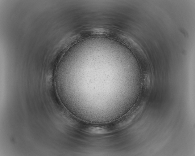 X0000113010557200909101819