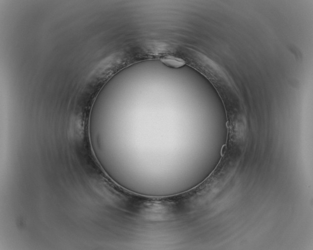 X0000113010558200909101820