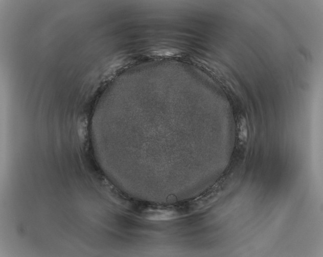 X0000113010559200909101820