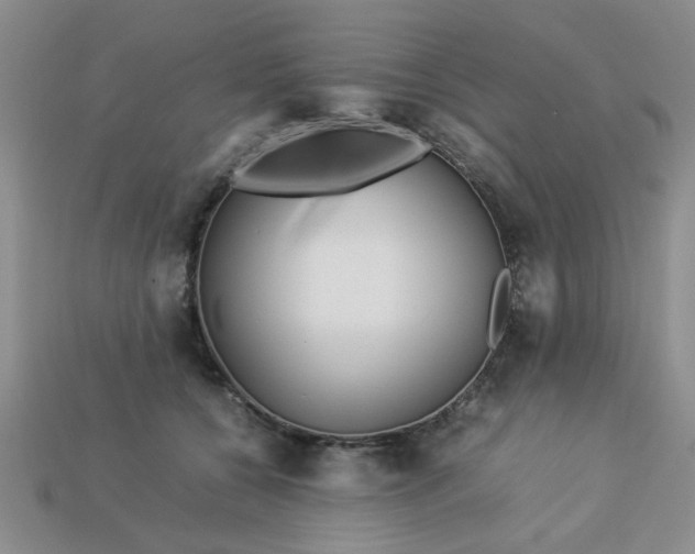 X0000113010560200909101820