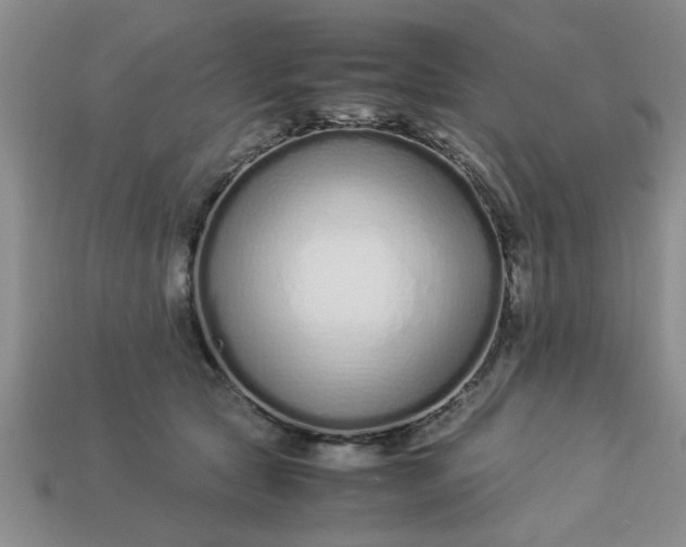 X0000113010561200909101820