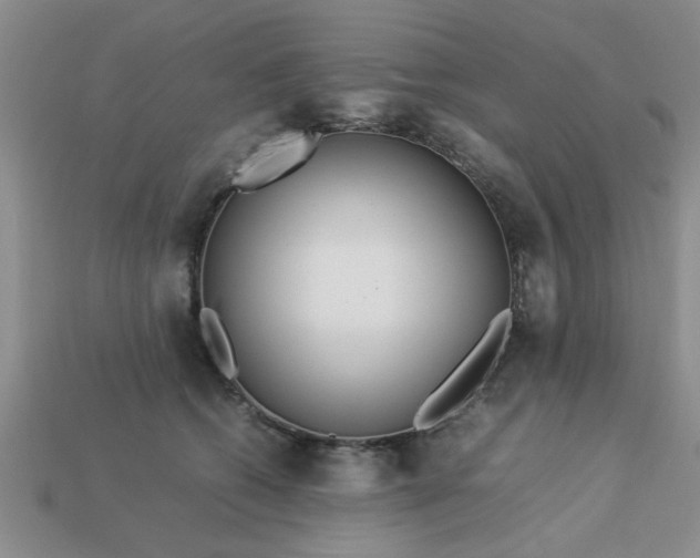 X0000113010562200909101820