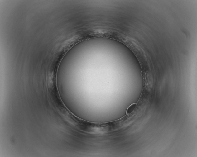 X0000113010563200909101820