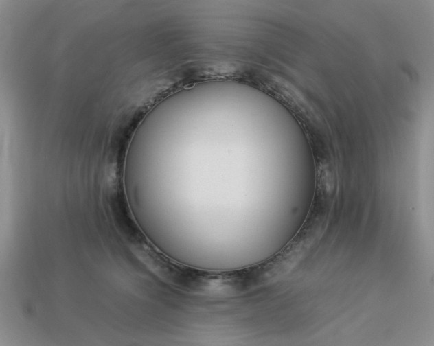 X0000113010564200909101820