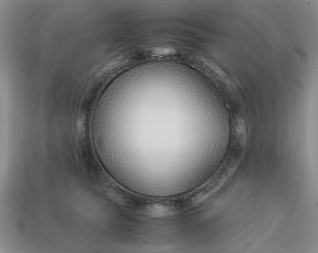 X0000113010565200909101820