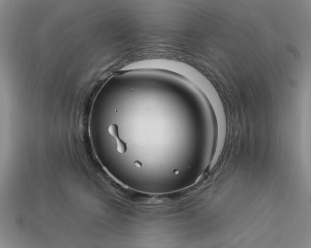 X0000113010566200909101820