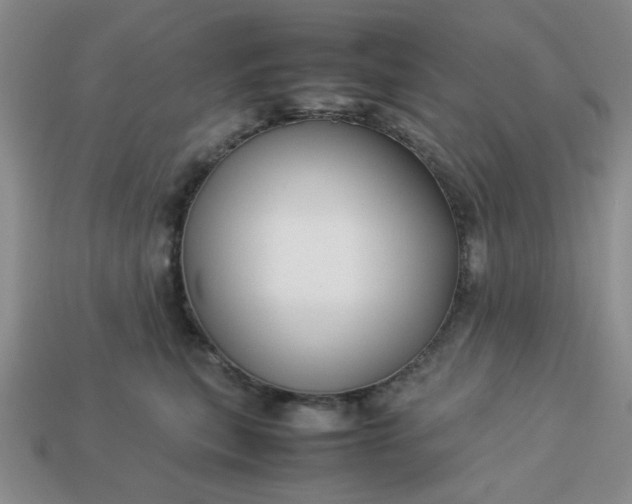 X0000113010567200909101820