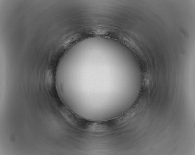 X0000113010568200909101820