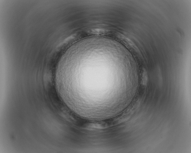 X0000113010569200909101820