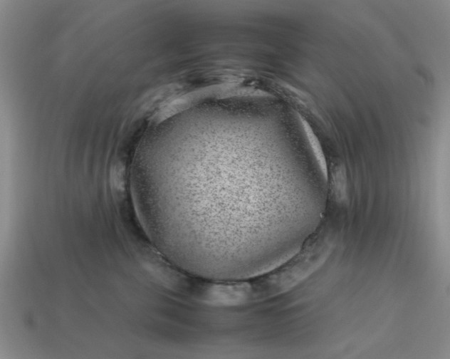 X0000113010571200909101820