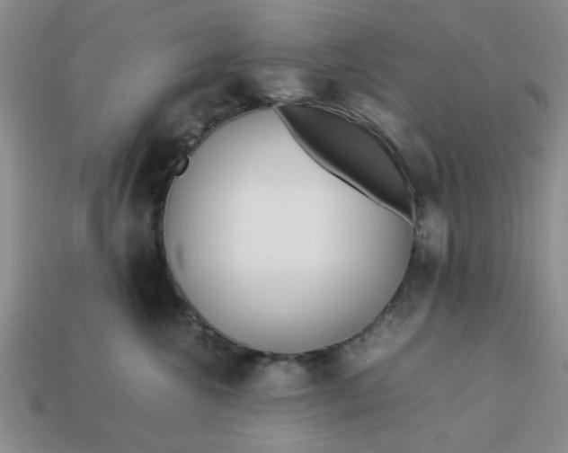 X0000113010572200909101820