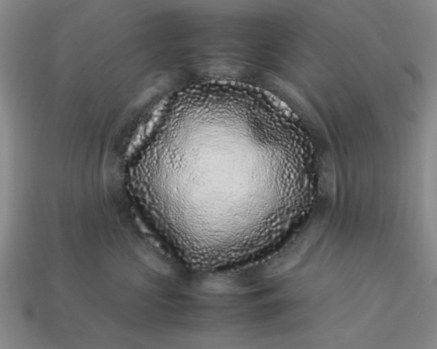 X0000113010573200909101820