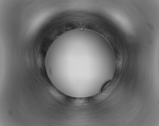 X0000113010574200909101820