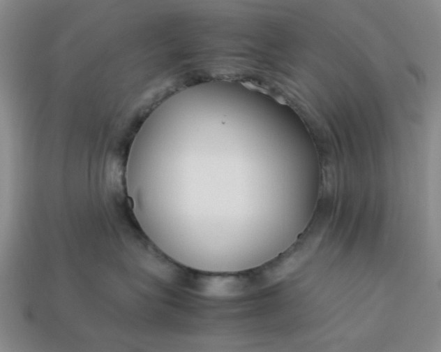 X0000113010575200909101820