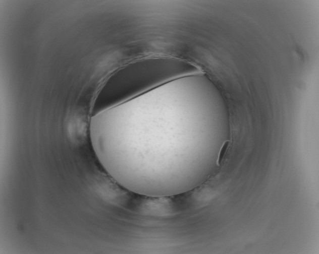 X0000113010576200909101820