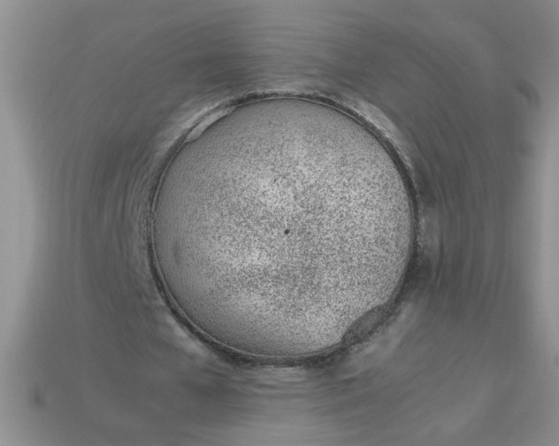 X0000113010577200909101819